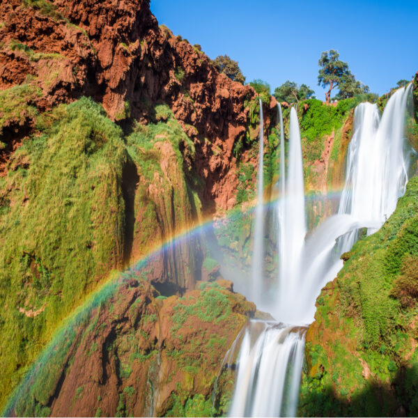 Full-Day private tour to Ouzoud Waterfalls & The middle Atlas Mountain trip from Marrakech
