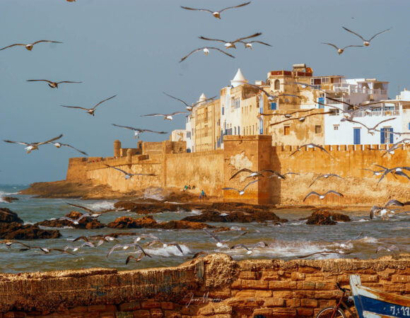 Full-Day Private tour to Essaouira the ancient Mogador city and coast from Marrakech