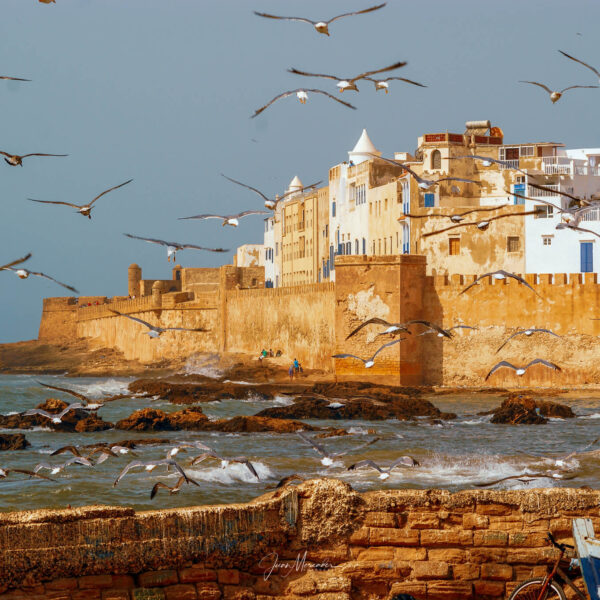 Full-Day Private tour to Essaouira the ancient Mogador city and coast from Marrakech